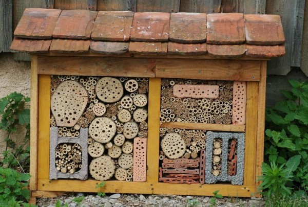 insect hotel007
