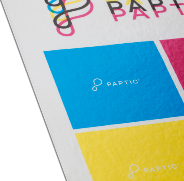 paptic-is-beautiful